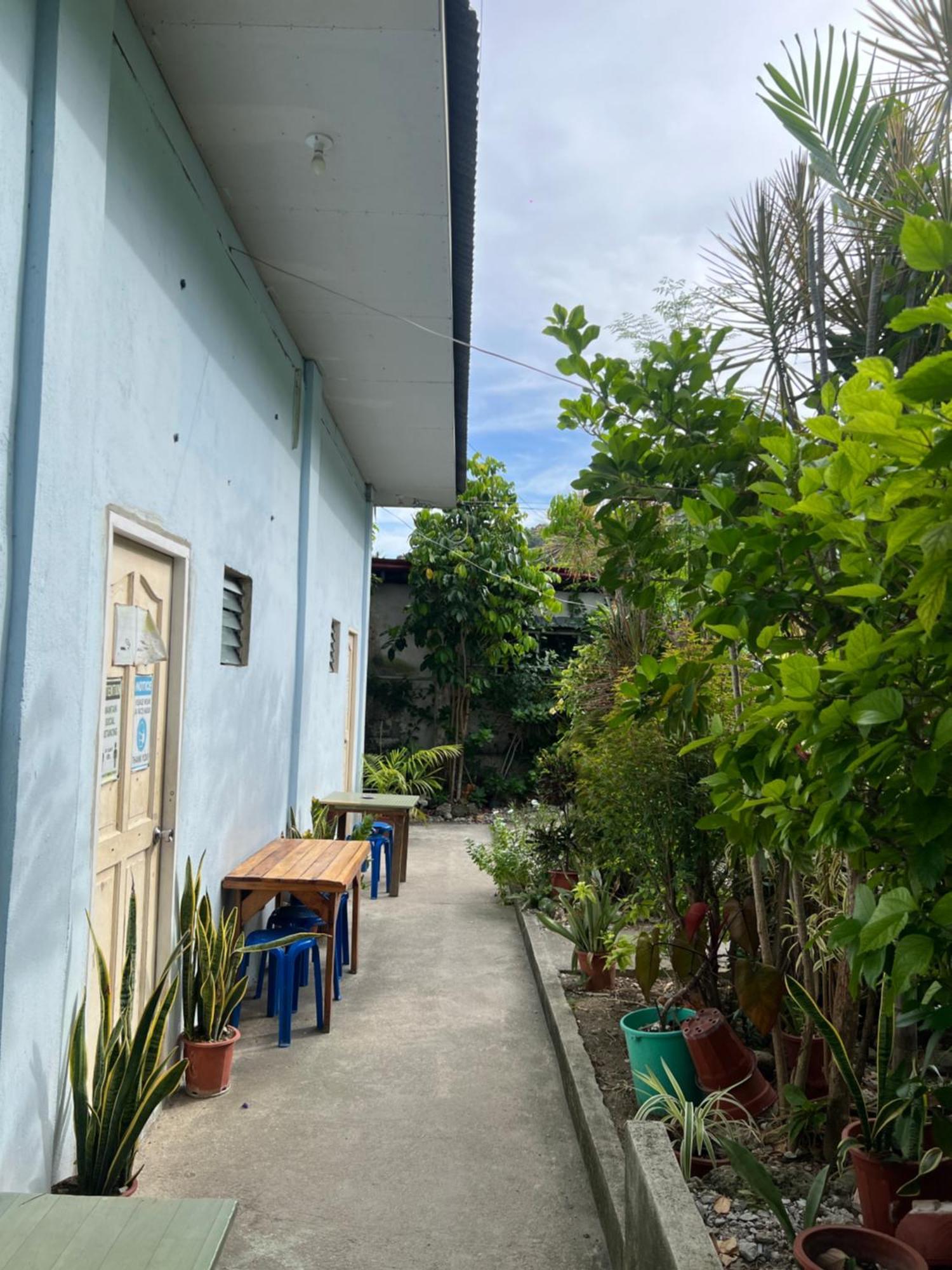 Sharky Hostel Oslob Exterior photo